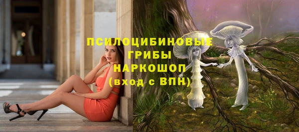 таблы Протвино