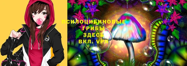 индика Абдулино