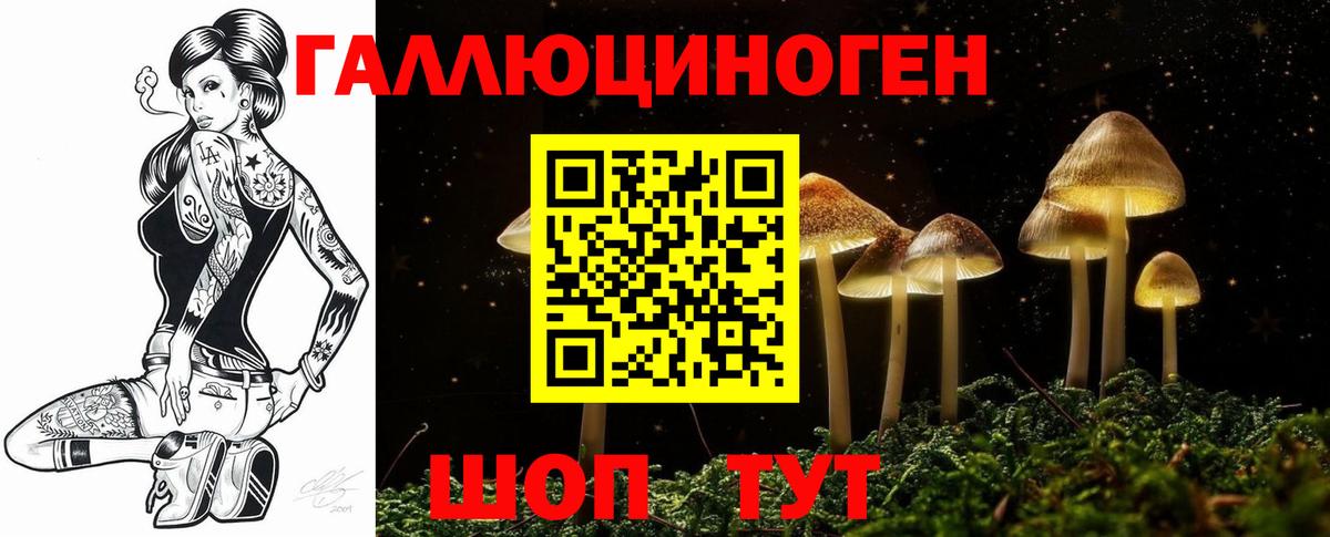 Галлюциногенные грибы прущие грибы Богородицк