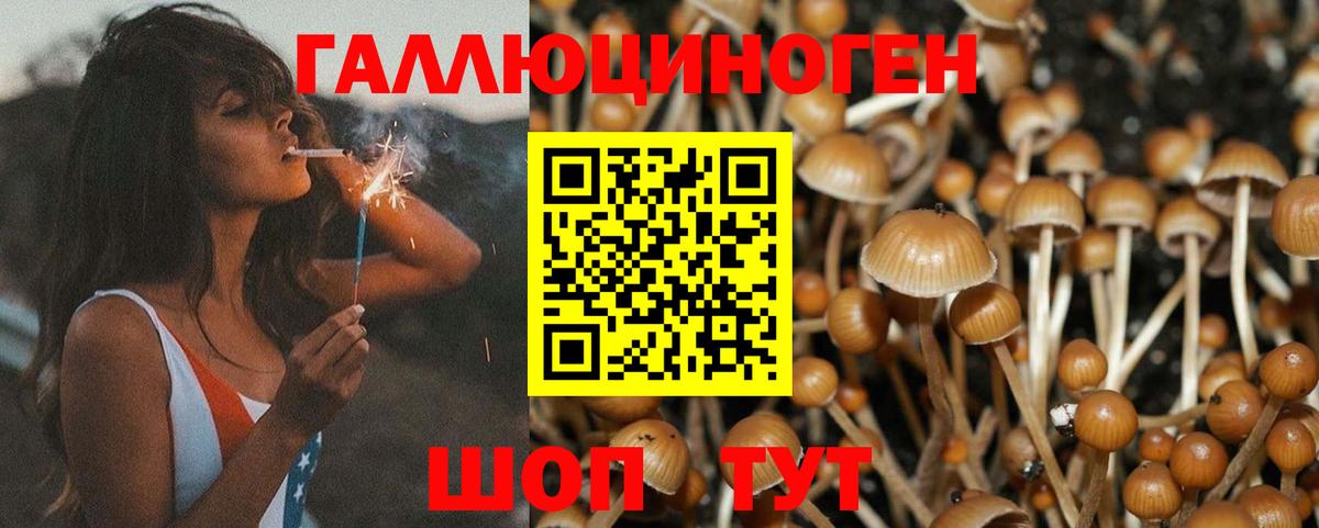 Псилоцибиновые грибы прущие грибы  Вход с VPN  Богородицк 